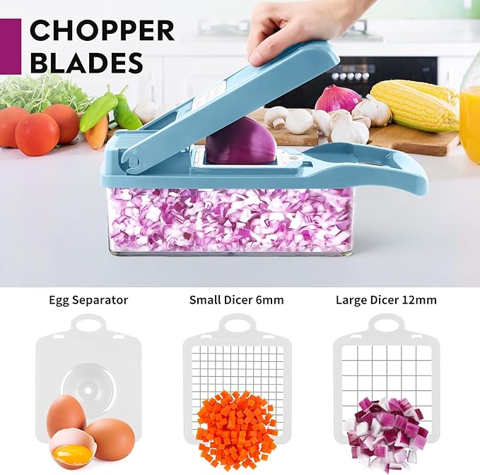 Vegetable Chopper Pro, Multifunctional 13 in 1 Food Chopper, Kitchen Vegetable Slicer Dicer Cutter With 8 Blades for Onion Carrot and Garlic With Container (Blue)