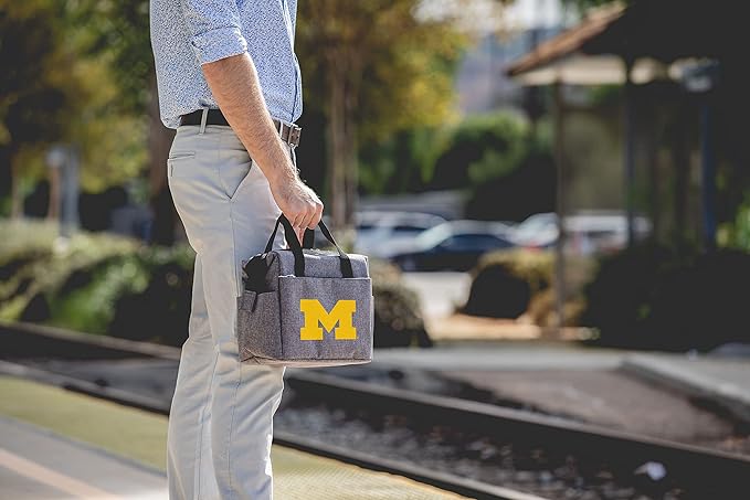 PICNIC TIME NCAA unisex-adult NCAA On The Go Lunch Cooler