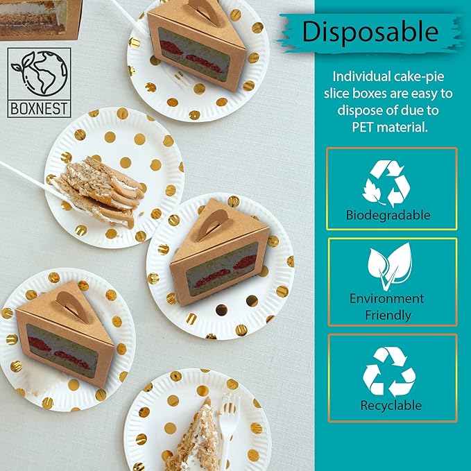Cake Pie Cheesecake Individual Slice Disposable Boxes Triangular Compostable Containers with Lids, Take Out Togo Packaging, Dessert Bakery Cafe Business (50)