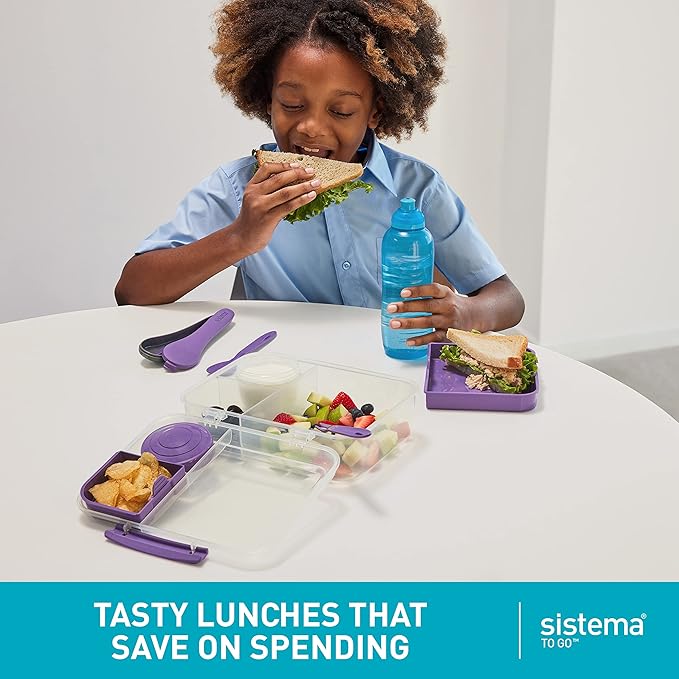 Sistema Bento Box Adult Lunch Box with 2 Compartments