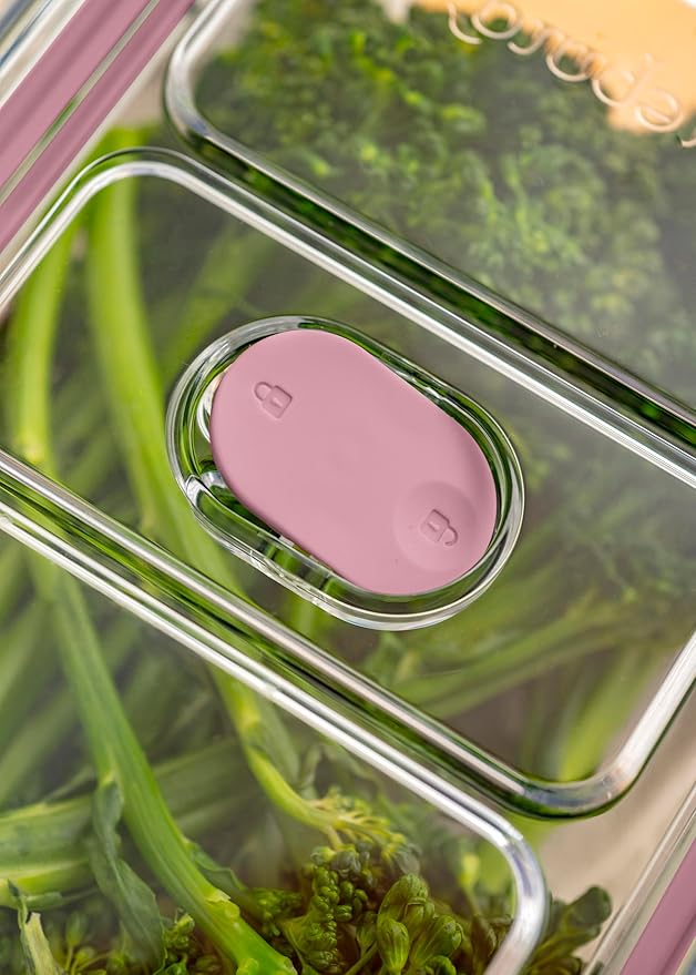 Prepara LatchLok Click 6.4 Cup Food Storage Container, Set of 2, Rose