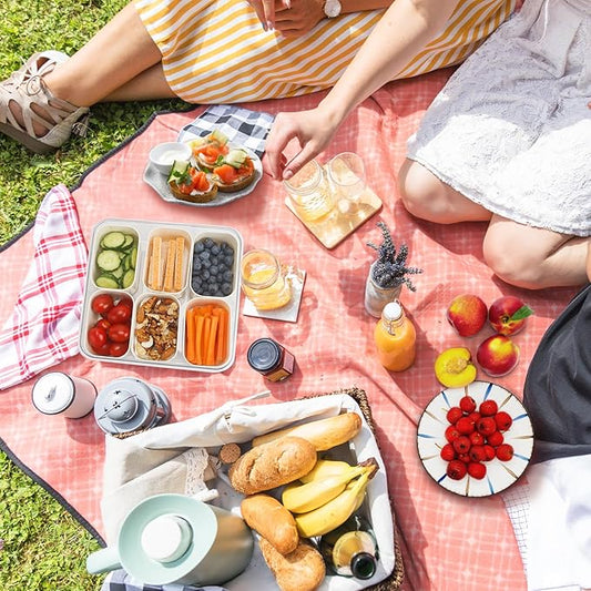 Divided Serving Tray with Lid and Handle, Portable Snack Box Container, 6 Compartments Veggie Fruit Snackle Tray, Charcuterie Platter Box Container for Party, Nuts, Snacks, Entertaining, Picnic,2 Pack