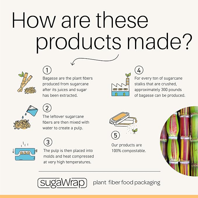 Disposable 16oz Oval Food Containers with Lids [50 Bowls + 50 Lids] Eco-Friendly Biodegradable Bamboo & Sugarcane, Sturdy, Freezer & Microwave Safe for Hot & Cold