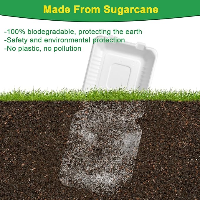 To Go Food Containers Disposable, Compostable Clamshell Containers 8x8, To Go Boxes For Food 100 Pack, Biodegradable Sugarcane Take Out Containers, Disposable Food Containers With White Bagasse