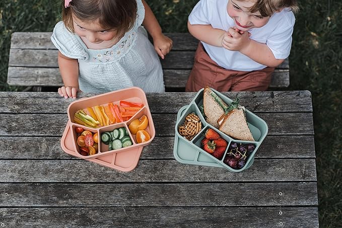Spoondrift 100% Food Grade Eco-Friendly Leak-Proof Silicone Bento Box Lunchbox, Microwave Safe | For Child And Adult, 4 Compartment, Choose from 6 Colors, Includes 1 Box (Terracotta)