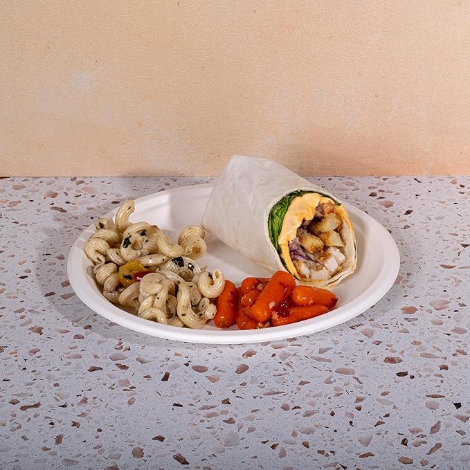 10" Paper Plates, Compostable Bagasse Food Container, Disposable, Microwave Safe for Lunch, Dinner, Party, Supplies, Events, Bulk, 125 Pack
