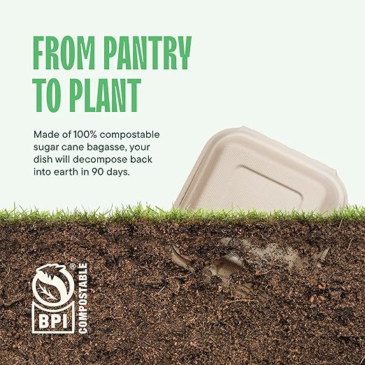 [Case - 500-Pack] 100% Compostable To Go Containers 6x6" Clamshell Take Out Food Container with Hinged Lid - Disposable Togo Plates - Biodegradable Eco-Friendly Takeout Box Made of Sugar Cane Bagasse