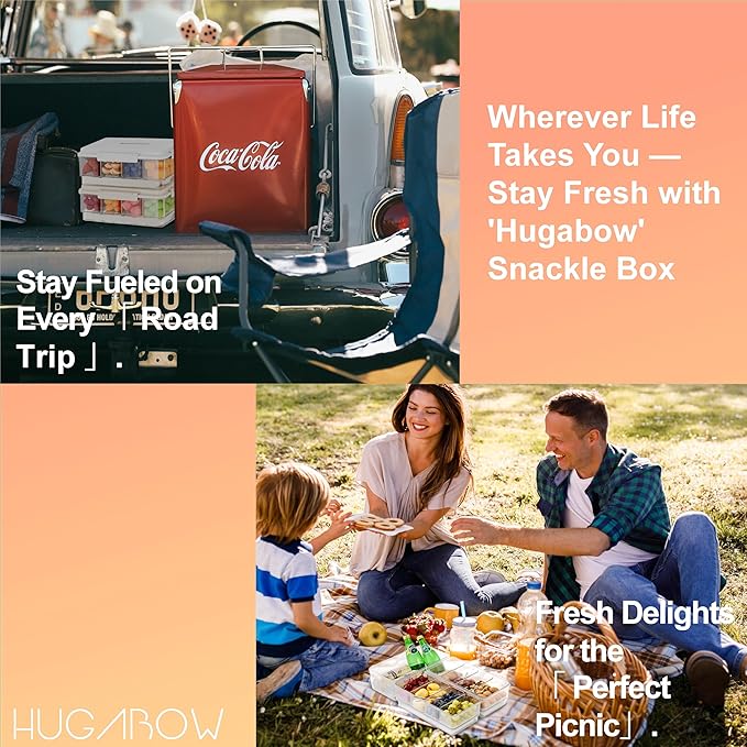 Portable Snackle Box Container with Ice Pack, 4 Large Compartments Chilled Travel Charcuterie Tray with Lid & Forks, Cooling Divided Serving Tray, for Outdoor Parties, Picinics